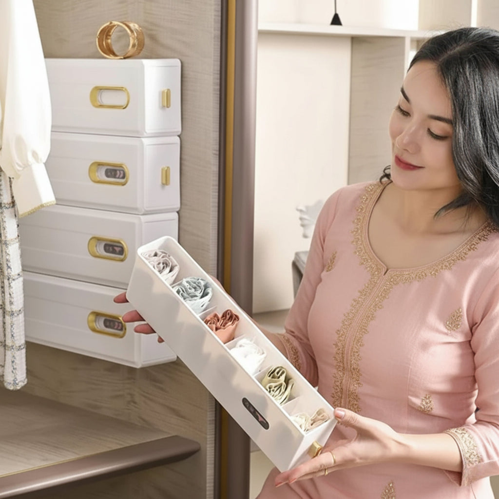 Invisible 6-cell Organizer (Pack of 3)