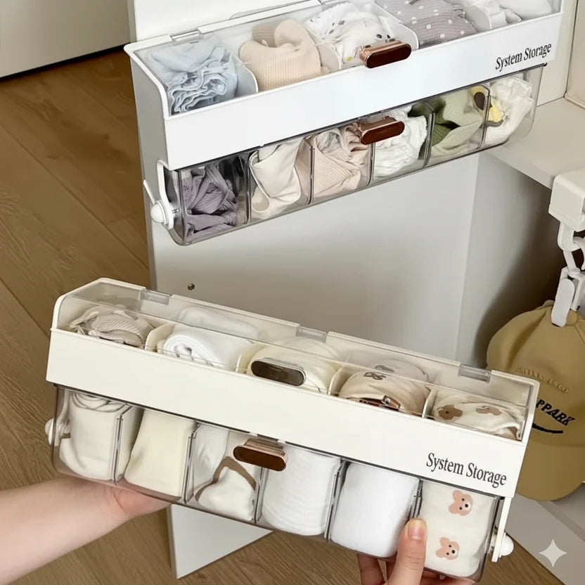 All-in-one Closet Organizer (Buy 1 Get 1 Free)